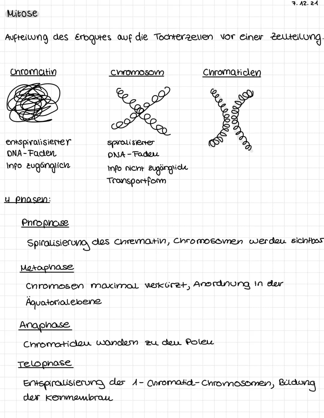 # Mitose
7.12.21
Aufteilung des Erbgutes auf die Tochterzellen vor einer Zellteilung.
## Chromatin
entspiralisierter
DNA-Faden
Info zugängl