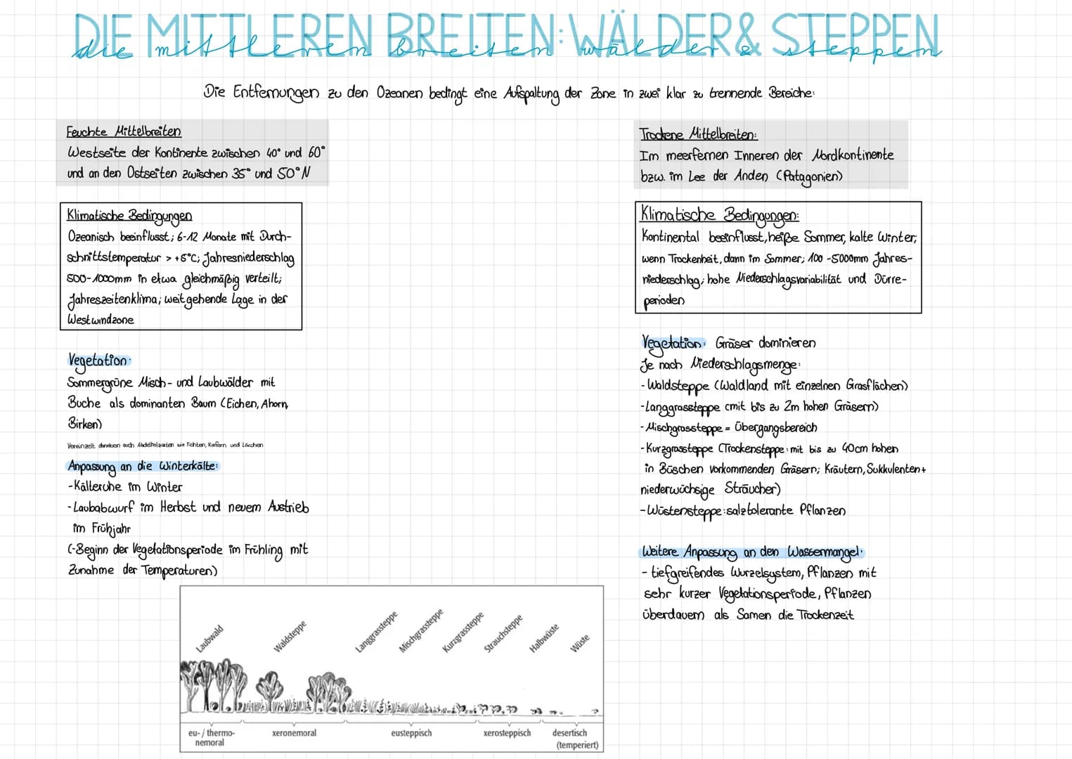 # SAVANNE
= Graslandschaft in den wechselfeuchten Tropen, in der in Abhängigkeit von den Niederschlägen Gräser mit Sträuchern bzw. Bäumen ko