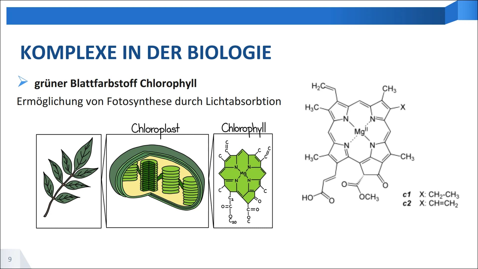 BEDEUTUNG VON
KOMPLEXVERBINDUNGEN ## GLIEDERUNG DES VORTRAGS
* Wiederholung Aufbau Komplexverbindungen
* Komplexverbindungen zum Nachweis v