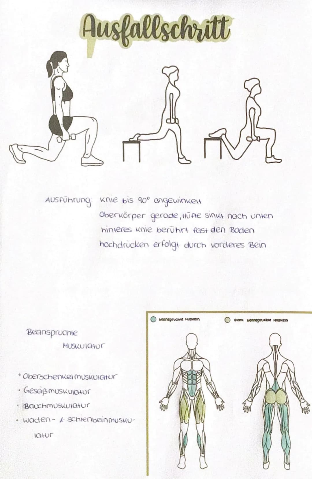 Jenny, Mareike
# Zirkeltraining
04. Januar 2023
Plan: Aufbauen, Erwärmung, Zirkeltraining, Dehnen, Abbauen, Feedback
### Was wird trainiert