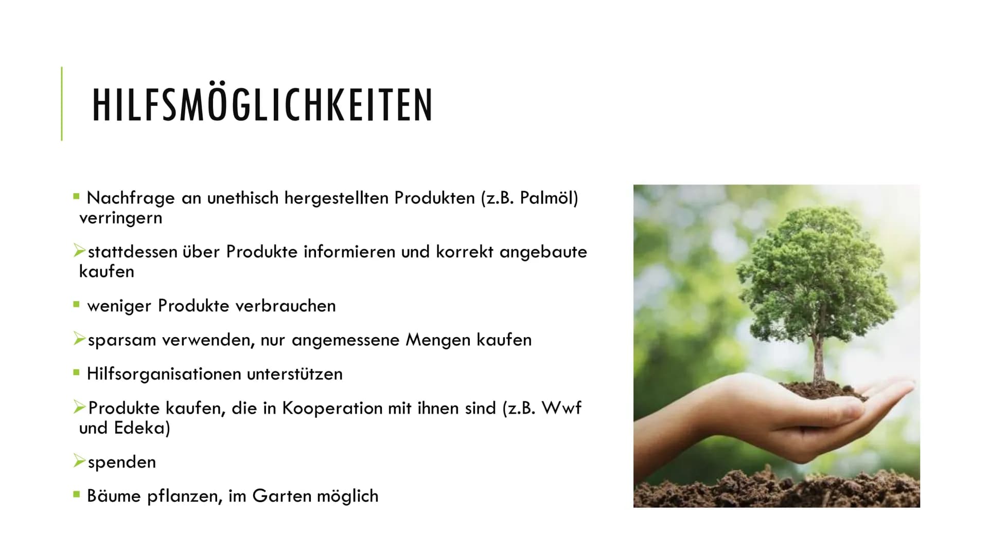 BEDEUTUNG DES ÖKOSYSTEM WALD
Ein Vortrag von TM; 2020 GLIEDERUNG
1. Was ist ein Ökosystem?
2. Warum ist der Wald so wichtig?
3. Wie benutzt