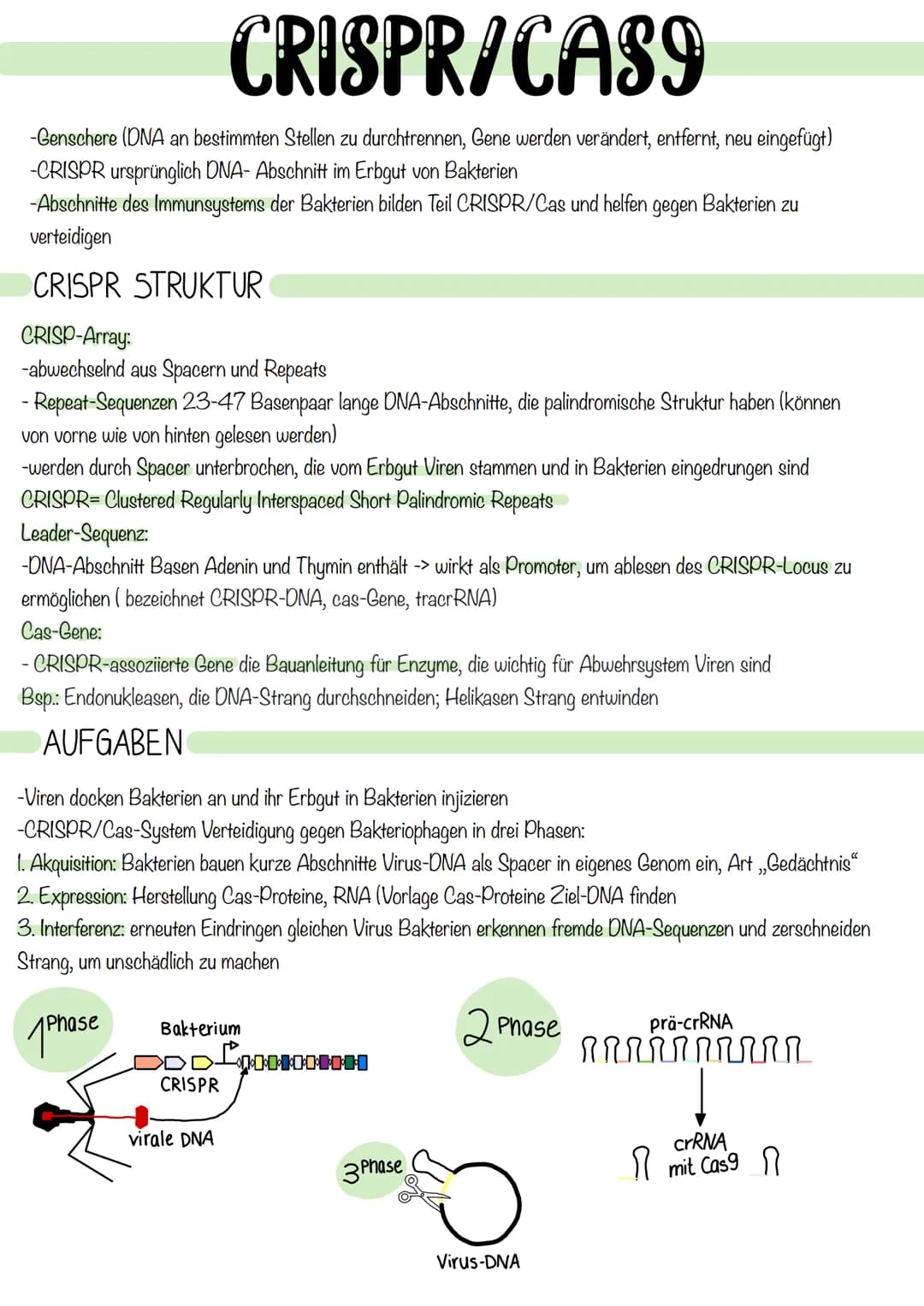 # CRISPR/CAS9
- Genschere (DNA an bestimmten Stellen zu durchtrennen, Gene werden verändert, entfernt, neu eingefügt)
- CRISPR ursprünglich