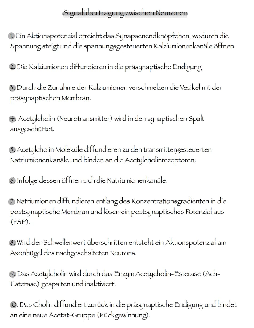 # Signalübertragung zwischen Neuronen
1. Ein Aktionspotenzial erreicht das Synapsenendknöpfchen, wodurch die Spannung steigt und die spannu