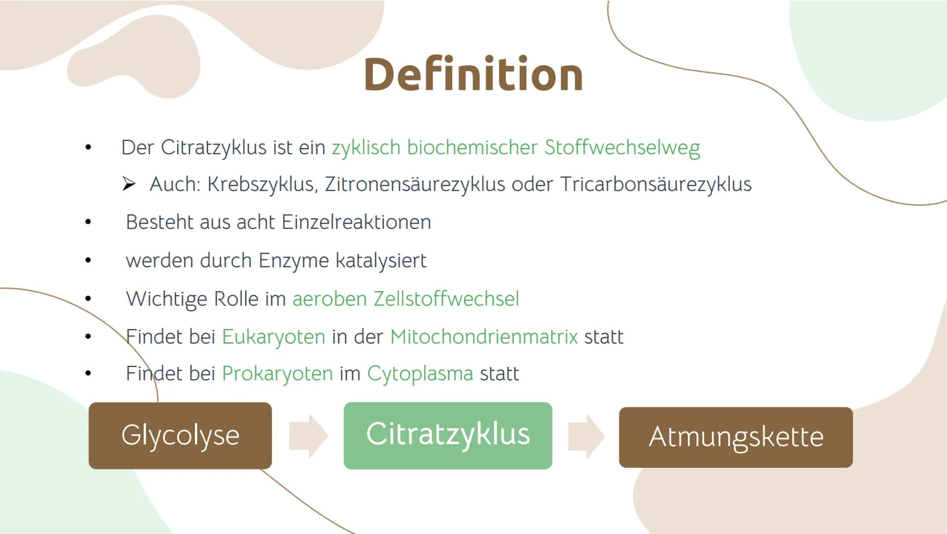Der Citratzyklus
27.05.2021
DER CITRATZYKLUS
* **Geschichtlicher Hintergrund:**
* Entdeckung durch Hans Adolf Krebs, deswegen wird