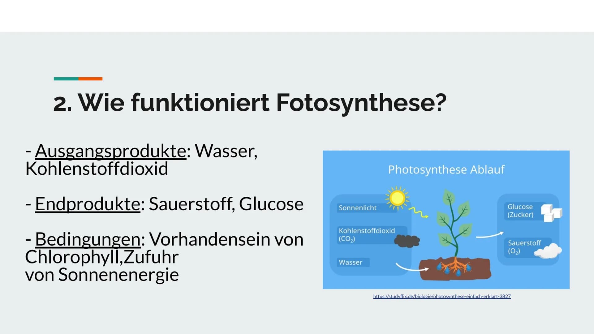 Fotosynthese
Vortrag von Darleen Noah # Gliederung
1. Was ist Fotosynthese?
2. Wie funktioniert Fotosynthese?
3. Das Blatt
4. Chloroplasten