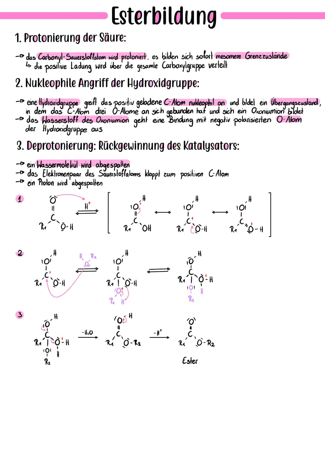 # Esterbildung
## 1. Protonierung der Säure:
- das Carbonyl-Sauerstoffatom wird protoniert, es bilden sich sofort mesomere Grenzzustände
-