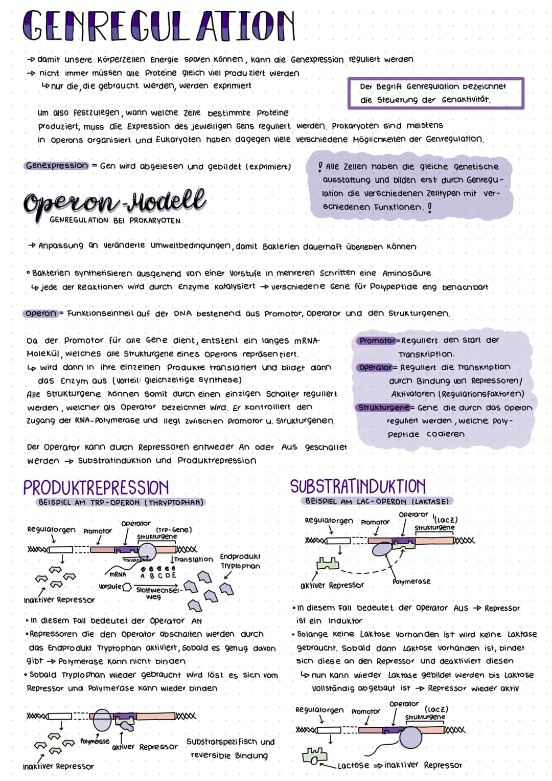 # Epigenetik
- das Teilgebiet der Genetik, das sich mit erblichen Veränderungen in der Genomregulation beschäftigt,
die nicht auf eine Änd