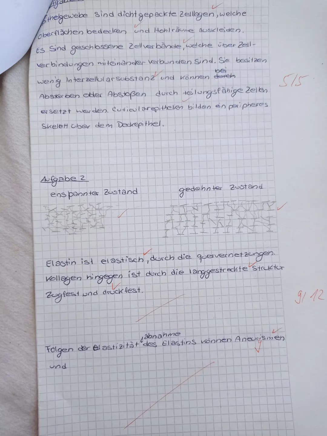 Knorpel
Durch
Aufgabe 5
Weißes Fettgewebe besitzt wenige Lipidtropfen, welche
von keiner Membran umgeben sind. Braunes hingegen
besitzt viel