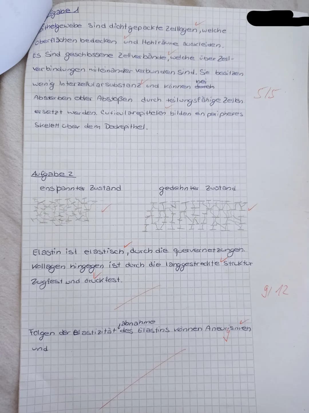 Knorpel
Durch
Aufgabe 5
Weißes Fettgewebe besitzt wenige Lipidtropfen, welche
von keiner Membran umgeben sind. Braunes hingegen
besitzt viel