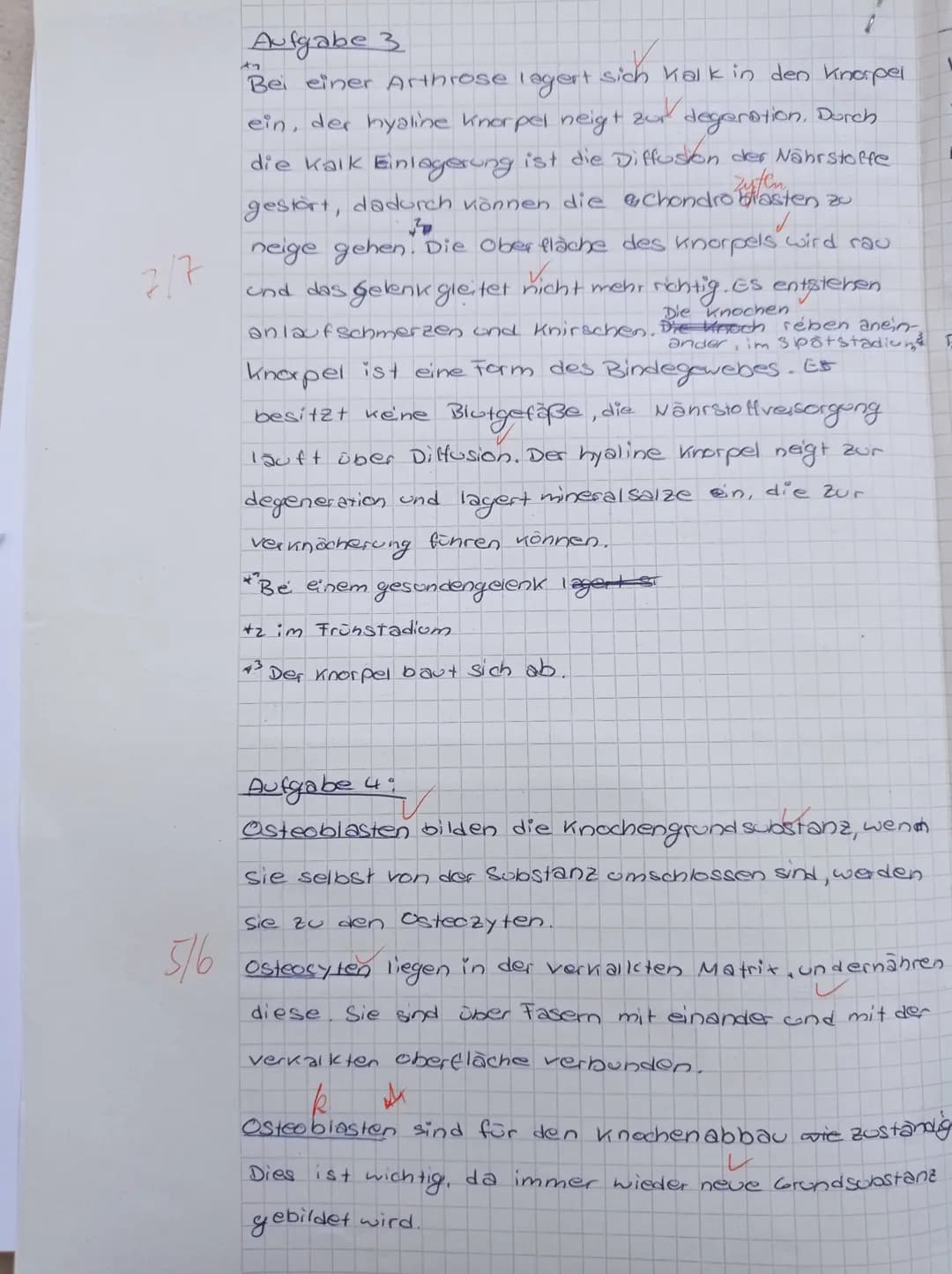 Knorpel
Durch
Aufgabe 5
Weißes Fettgewebe besitzt wenige Lipidtropfen, welche
von keiner Membran umgeben sind. Braunes hingegen
besitzt viel