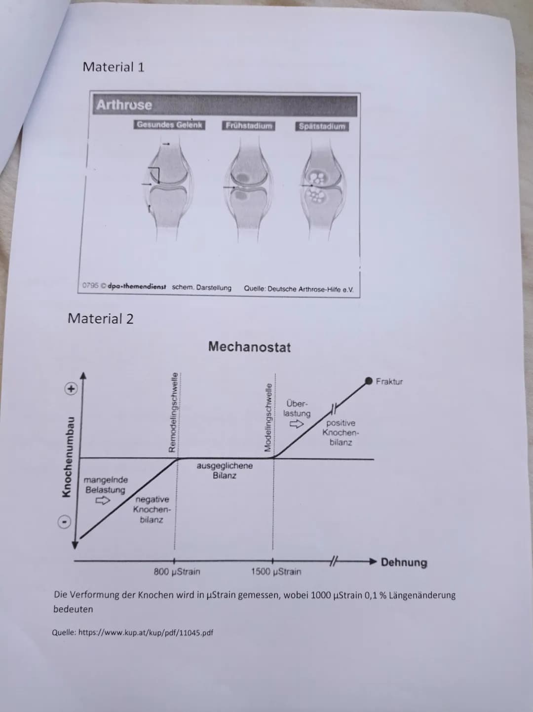 Knorpel
Durch
Aufgabe 5
Weißes Fettgewebe besitzt wenige Lipidtropfen, welche
von keiner Membran umgeben sind. Braunes hingegen
besitzt viel