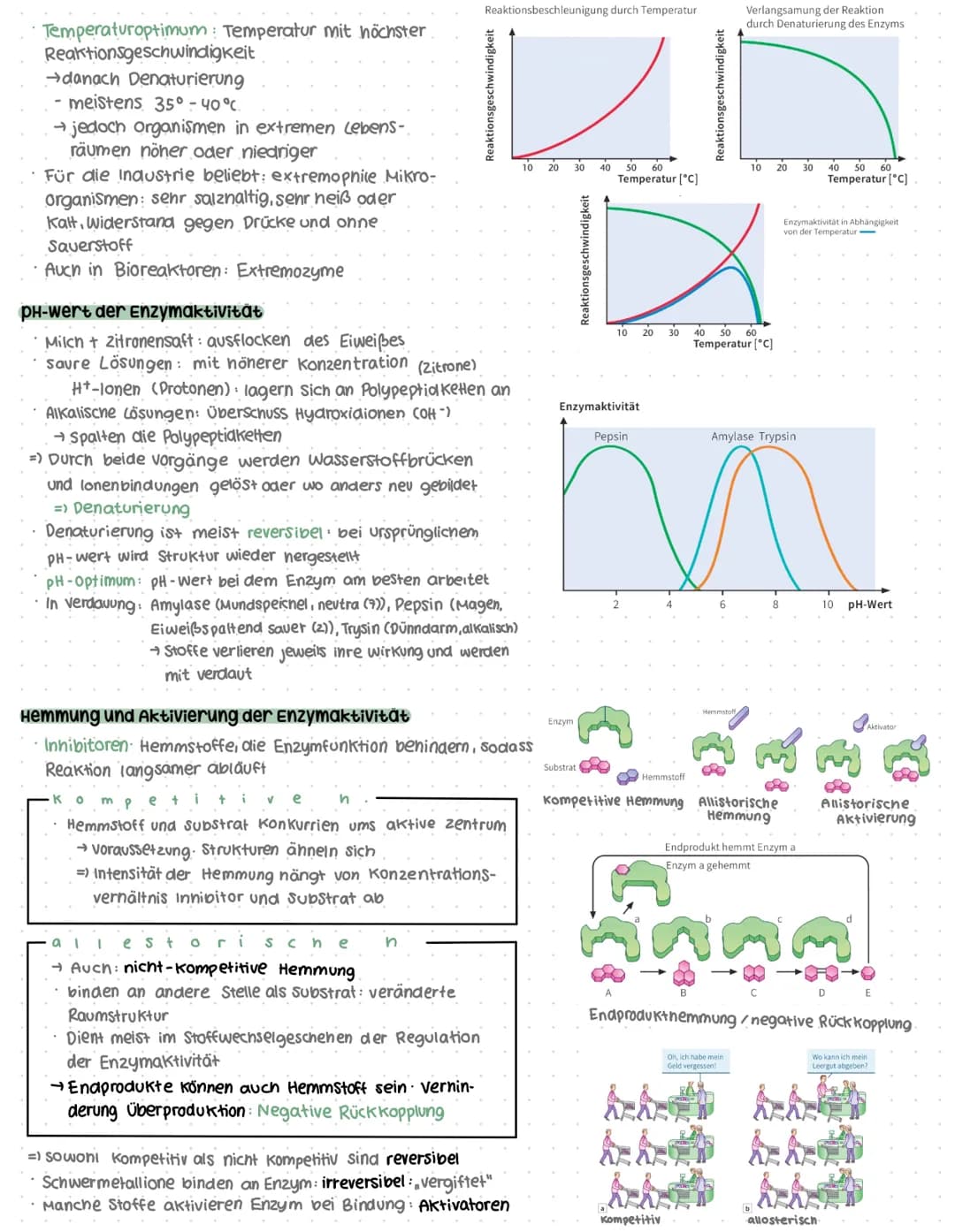 # Genaktivität
## Proteinbiosynthese
### Allgemein
* DNA = Desoxyribonukleinsäure
* Doppelhelix
* Enthalten im Zellkern
* → Synthese der Pr