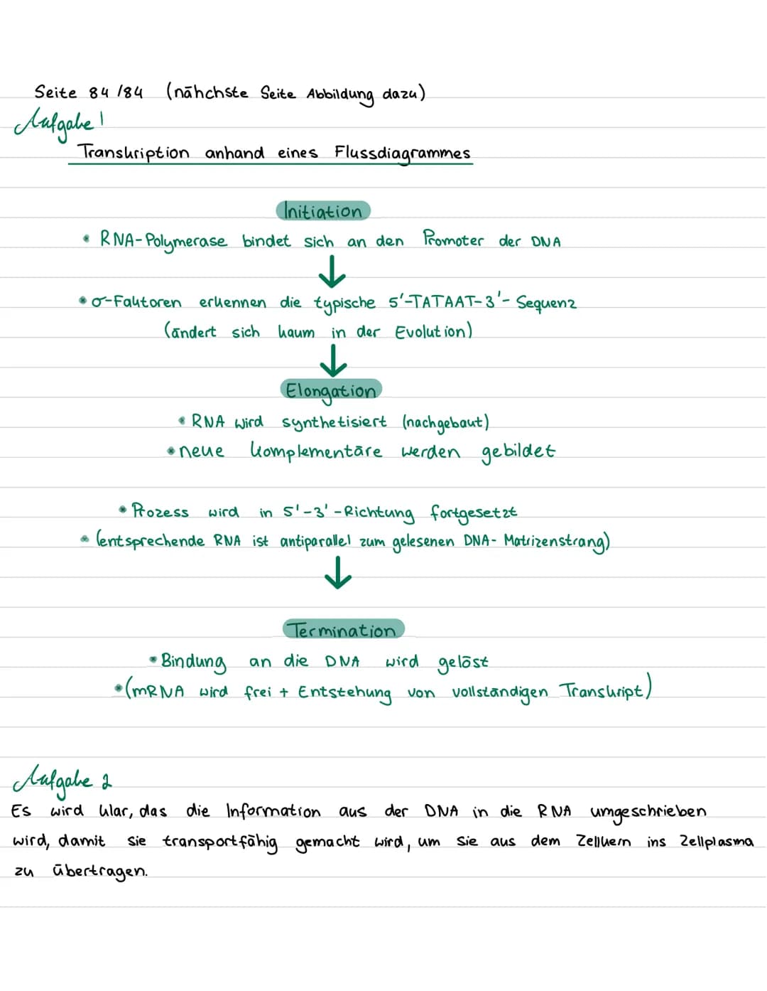 Seite 84 184 (nähchste Seite Abbildung dazu)
# Aufgabe 1
## Transkription anhand eines Flussdiagrammes
### Initiation
* RNA-Polymerase binde