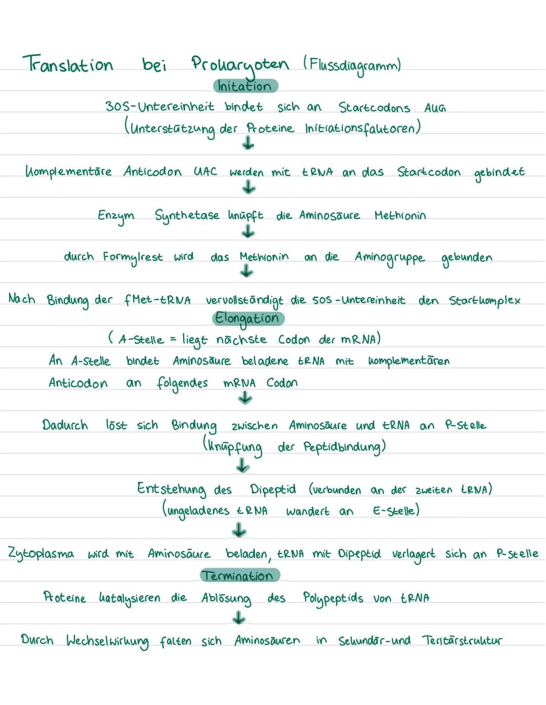 Seite 84 184 (nähchste Seite Abbildung dazu)
# Aufgabe 1
## Transkription anhand eines Flussdiagrammes
### Initiation
* RNA-Polymerase binde
