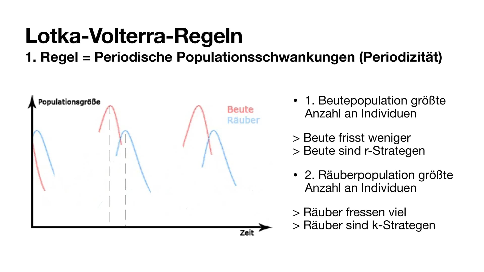 Räuber-Beute-Beziehung
Giulia Fritzsch # Räuber-Beute-Beziehung
* dominante Tierart (der Räuber) ernährt sich primär von einer anderen Tiera