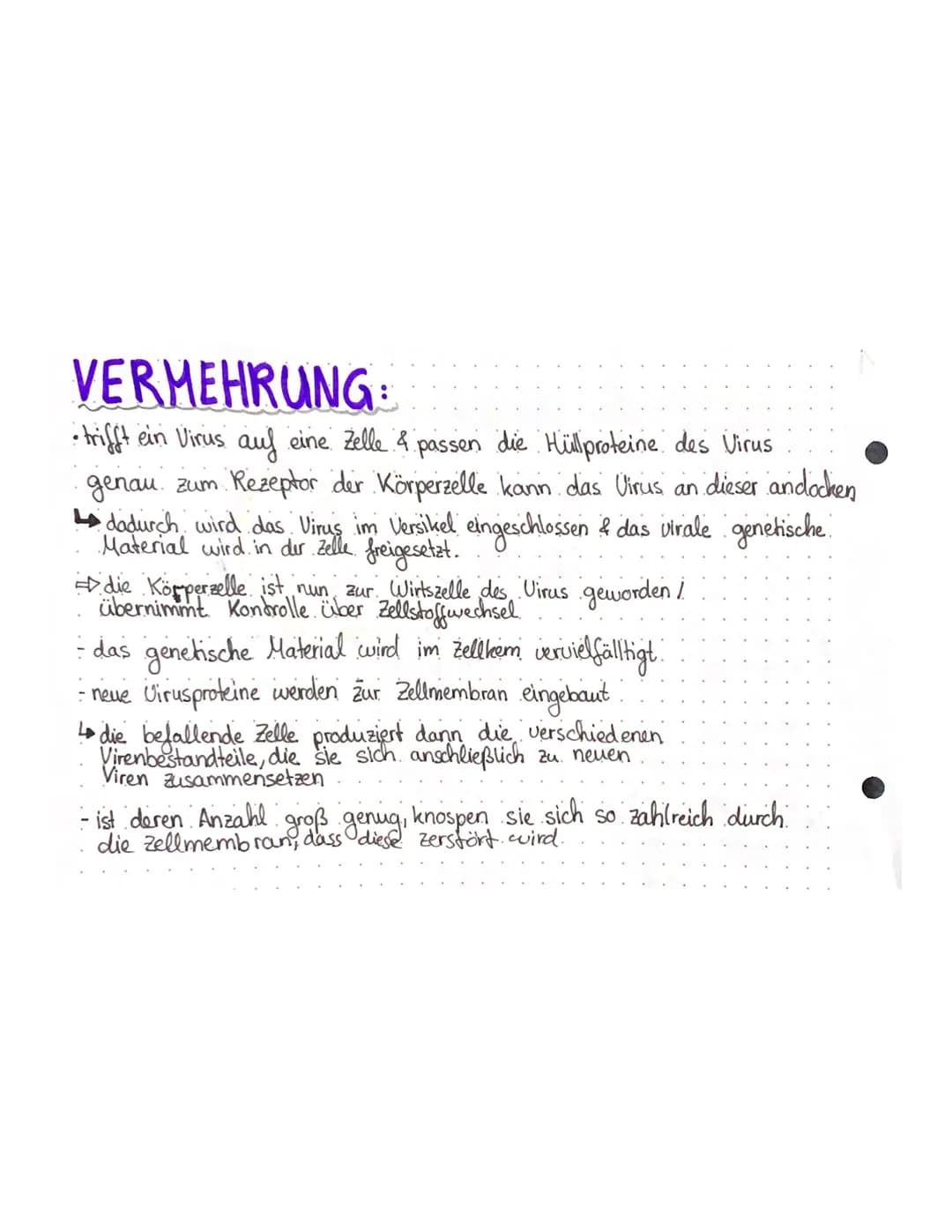 Biologie Lernzettel – Seite 1