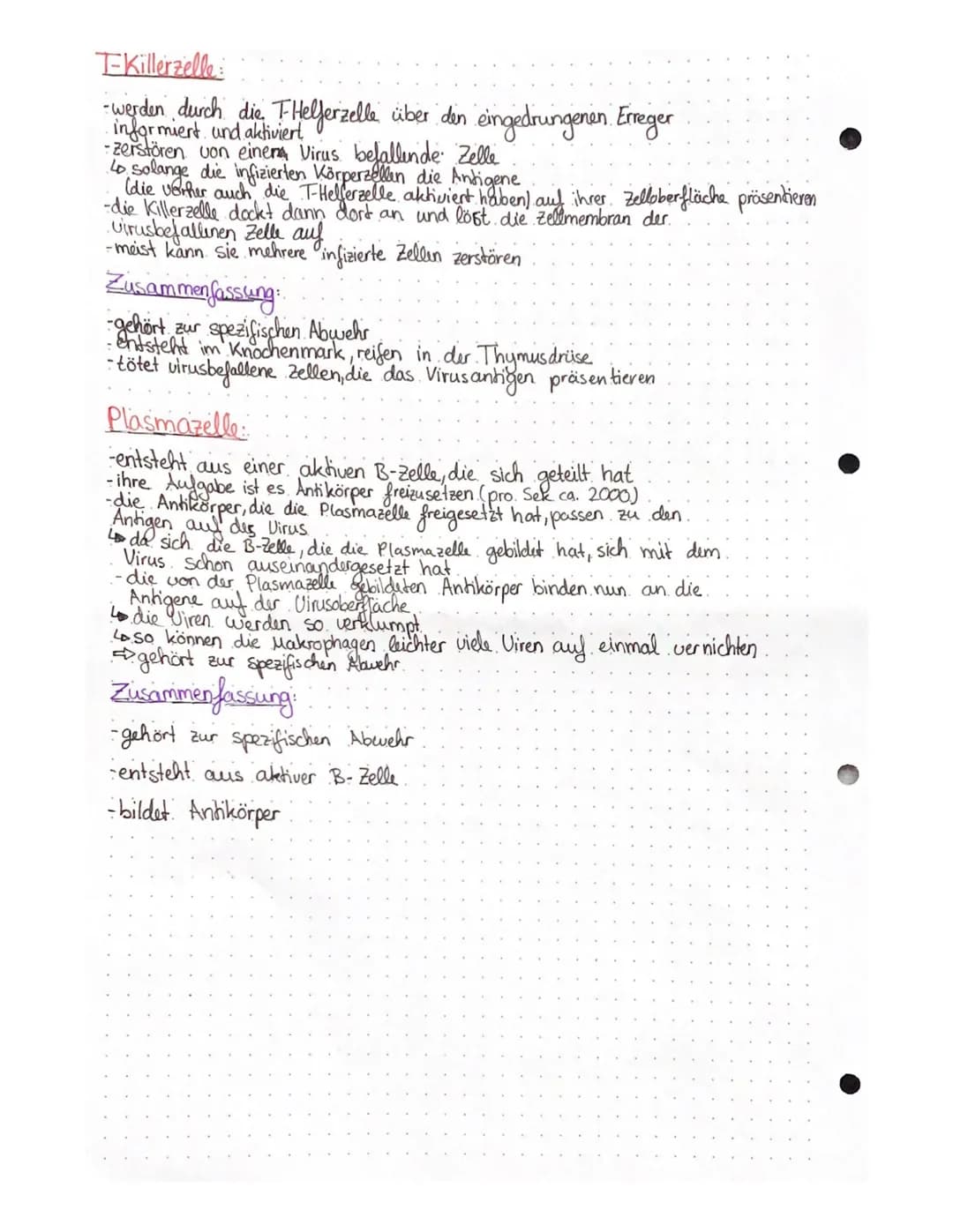 Biologie Lernzettel – Seite 10