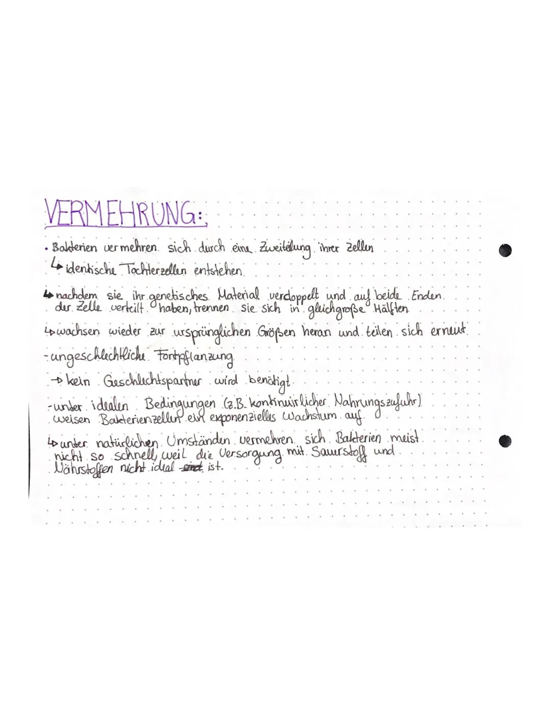 Biologie Lernzettel – Seite 5