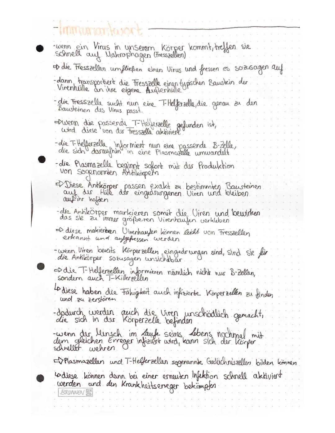 Biologie Lernzettel – Seite 7