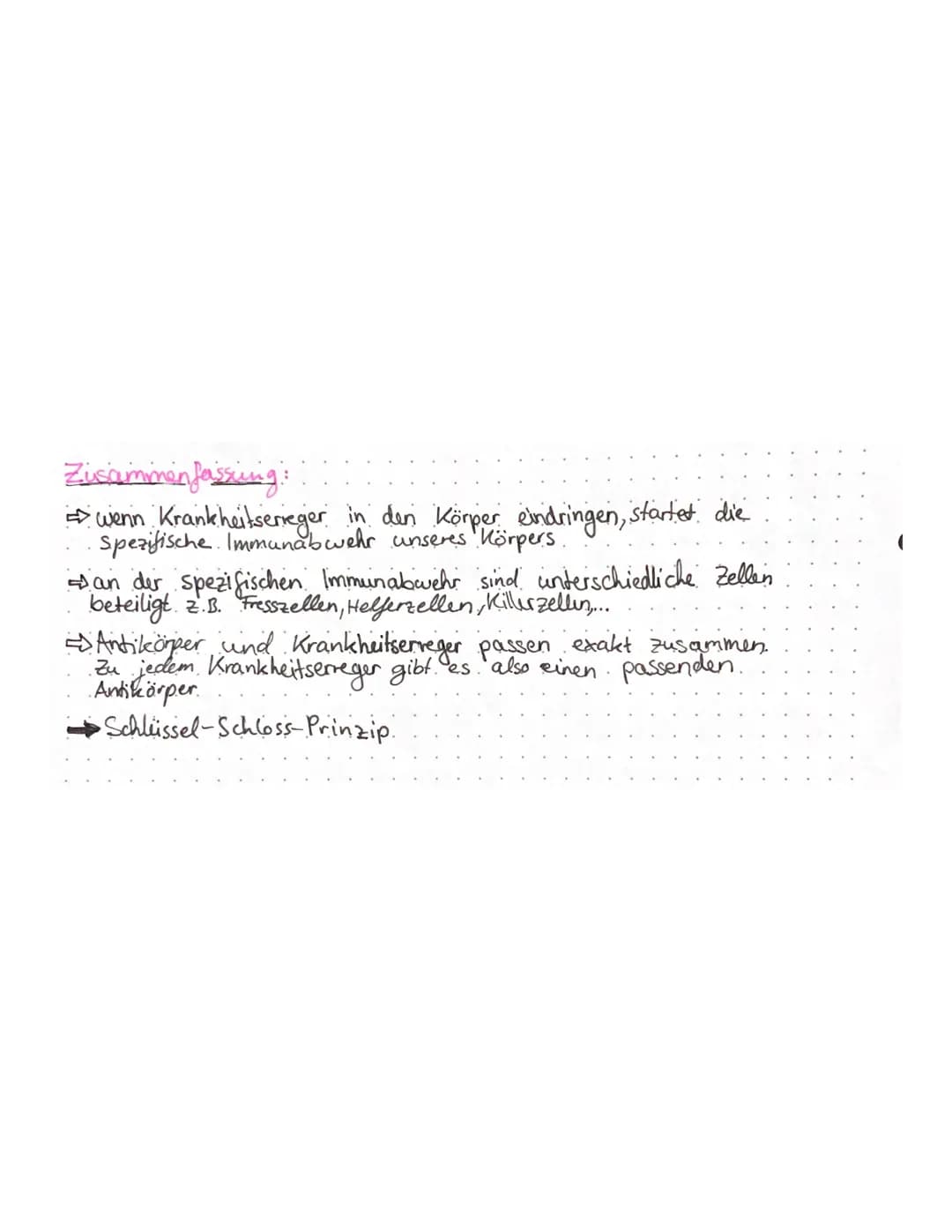 Biologie Lernzettel – Seite 8