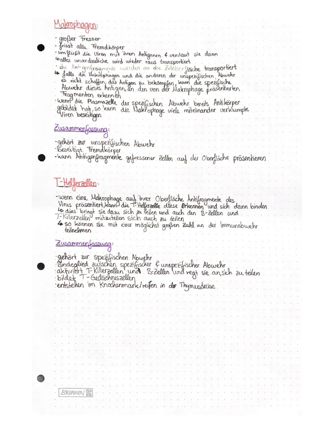 Biologie Lernzettel – Seite 9