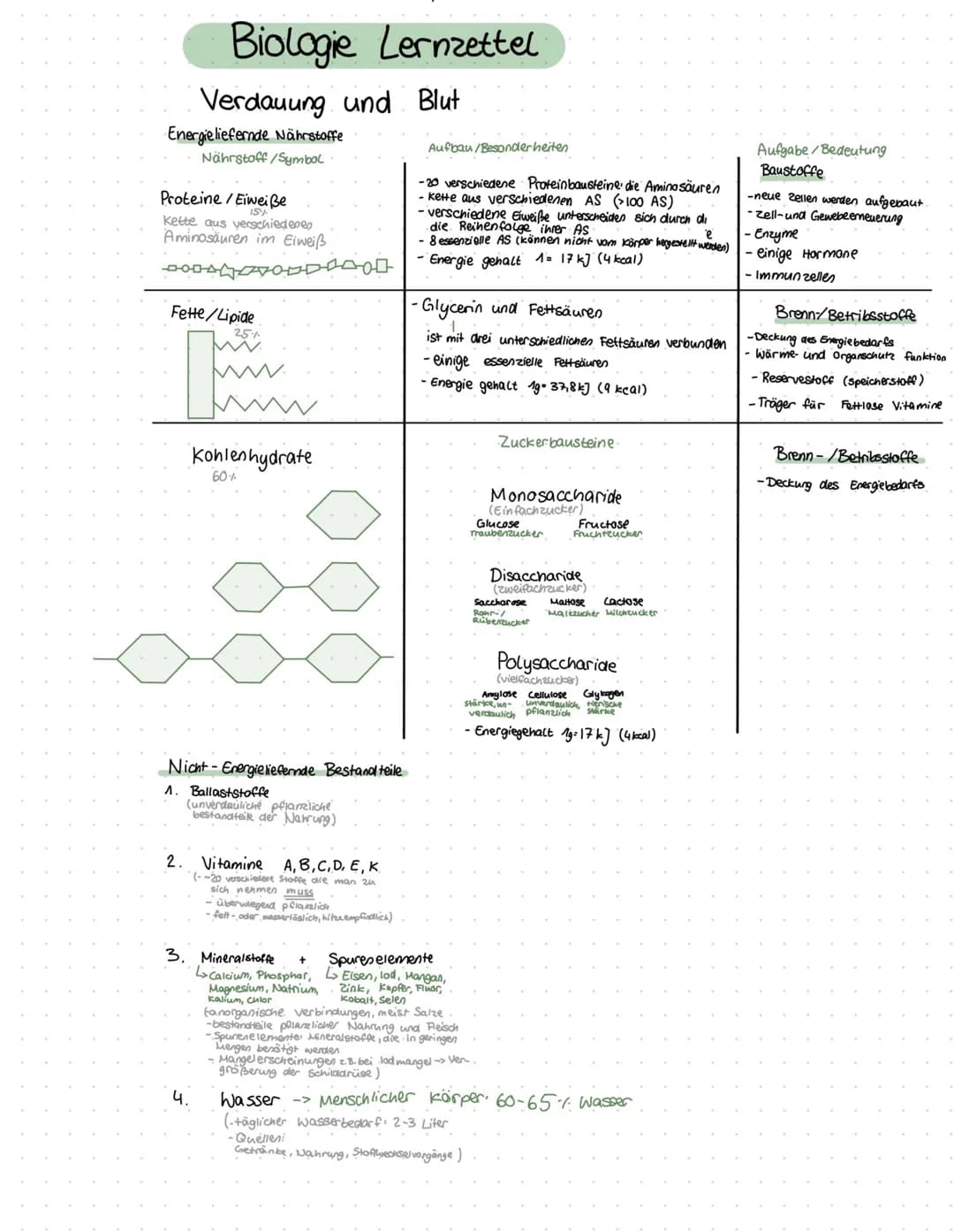 # Biologie Lernzettel
## Verdauung und Blut
### Energieliefernde Nährstoffe
| Nährstoff/Symbol |
| :--------------- |
### Proteine/Eiwei