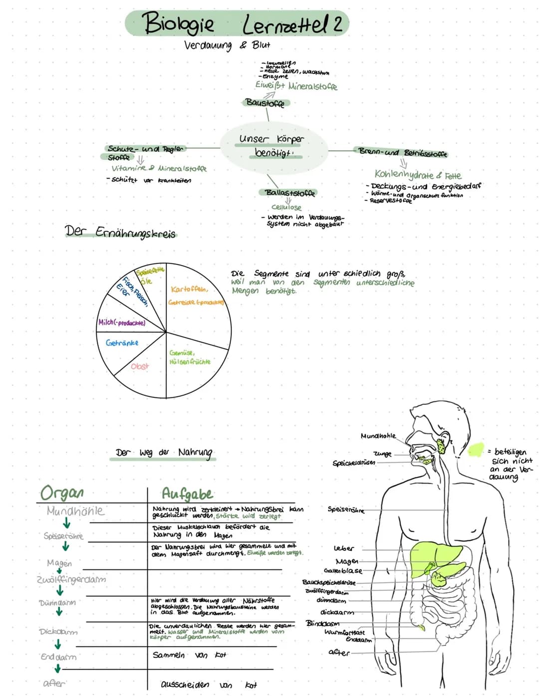 # Biologie Lernzettel
## Verdauung und Blut
### Energieliefernde Nährstoffe
| Nährstoff/Symbol |
| :--------------- |
### Proteine/Eiwei