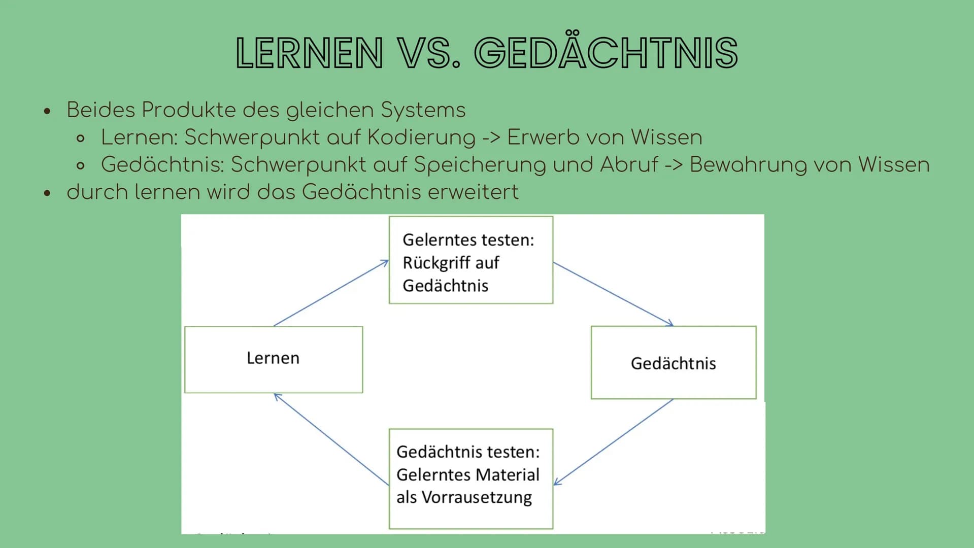 Neurobiologie - Vortrag 2022
Lernen aus
neurobiologischer
Sicht
Eleni, Lotte # Gliederung
1. Was ist Lernen?
2. Lernen vs. Gedächtnis
3. Ged