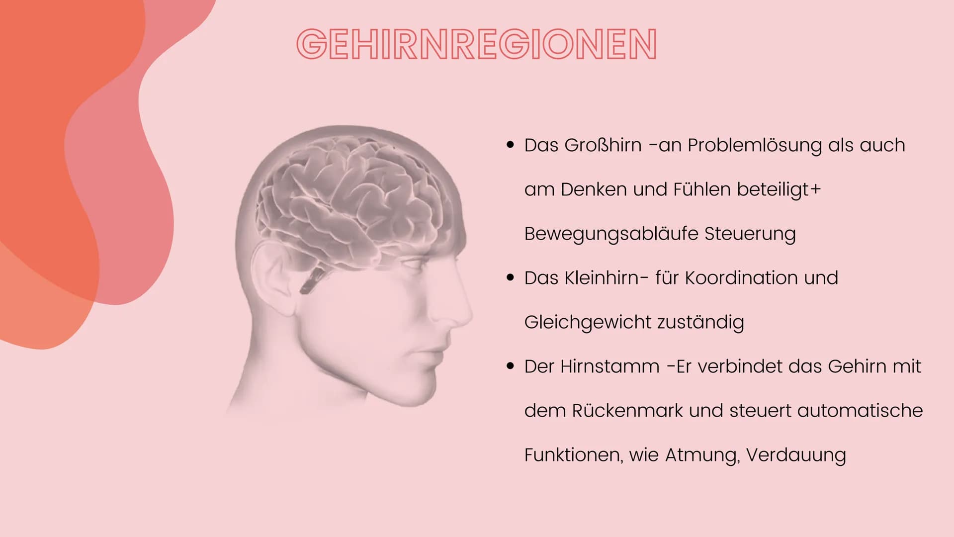 Neurobiologie - Vortrag 2022
Lernen aus
neurobiologischer
Sicht
Eleni, Lotte # Gliederung
1. Was ist Lernen?
2. Lernen vs. Gedächtnis
3. Ged