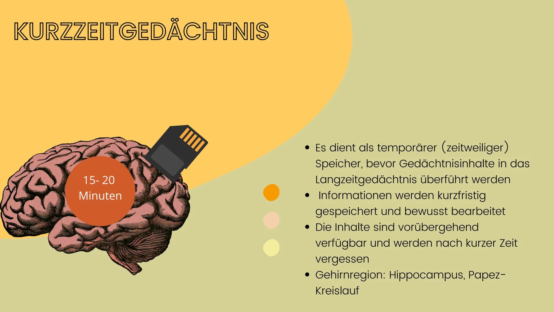 Neurobiologie - Vortrag 2022
Lernen aus
neurobiologischer
Sicht
Eleni, Lotte # Gliederung
1. Was ist Lernen?
2. Lernen vs. Gedächtnis
3. Ged