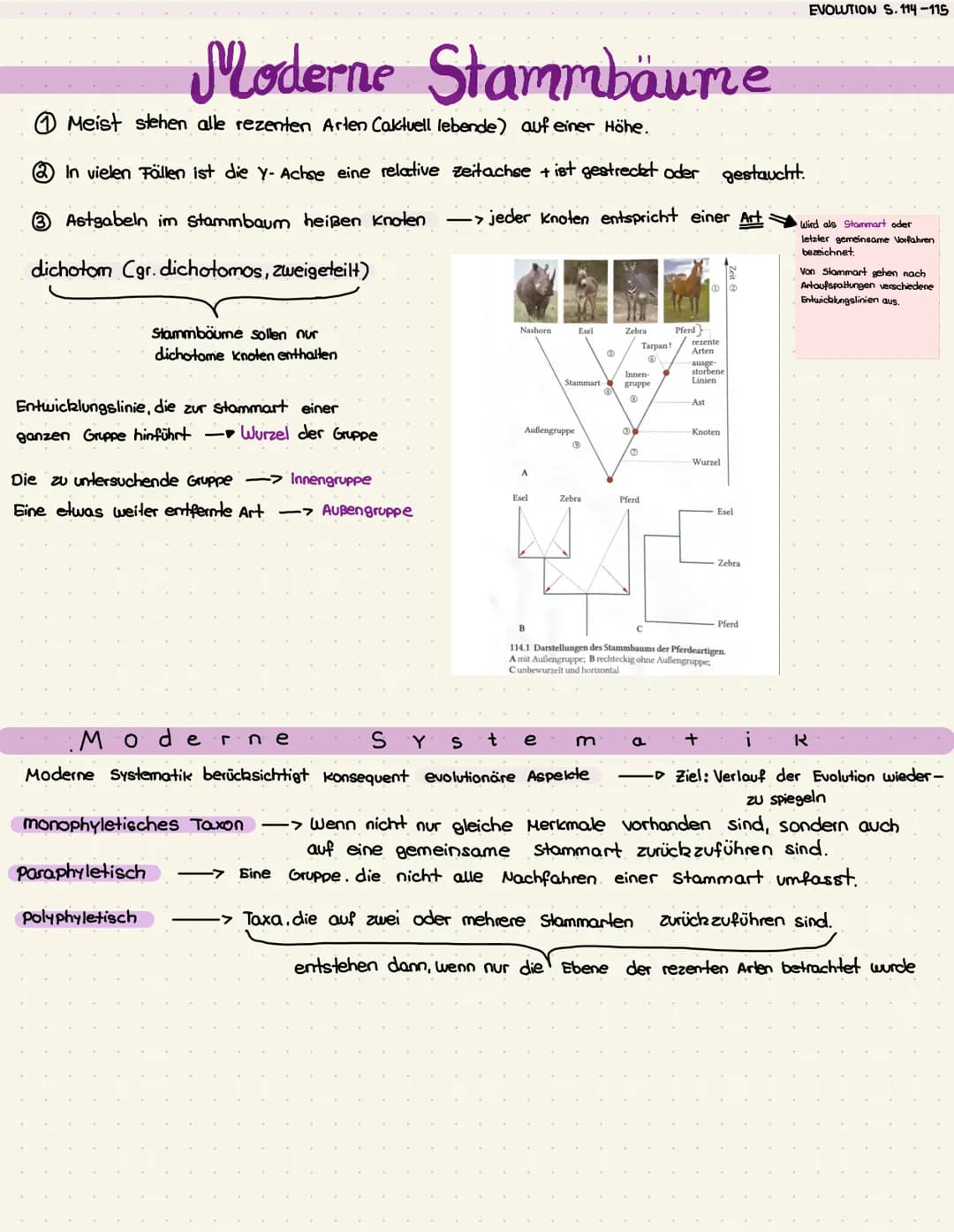 - A.
- B
- C
- D
- F
- B
- A
- C
- D
- F
- A
- B
- D
- F
- monophyletische
- Gruppen
- Paraphyletische Gruppen
- Polypheletische Gruppen EVO