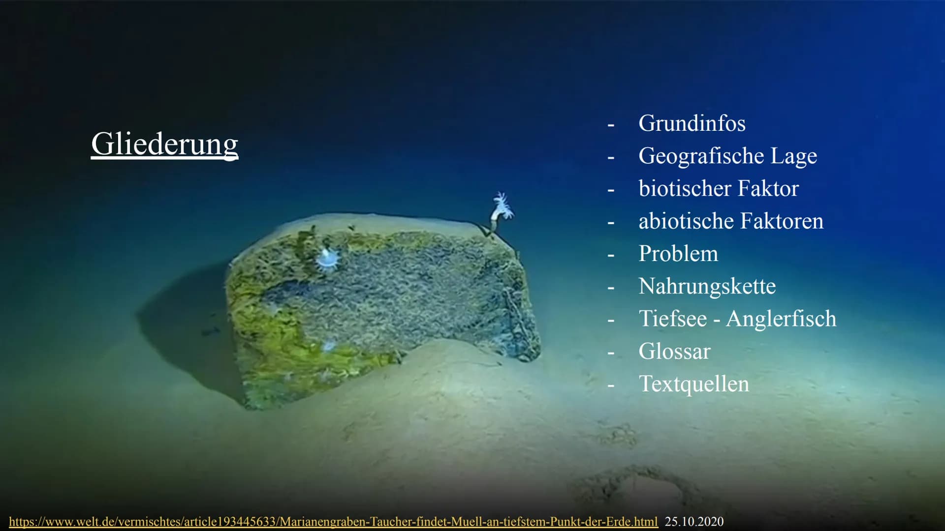 # Marianengraben
https://tothostel.ru/de/shengen/zhizn-v-marianskoi-vpadine-samye-glubokie-mesta-v-mire/ 20.10.2020 # Gliederung
- Grundi