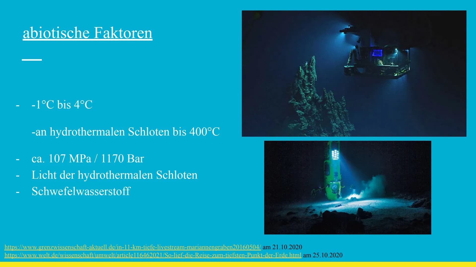 # Marianengraben
https://tothostel.ru/de/shengen/zhizn-v-marianskoi-vpadine-samye-glubokie-mesta-v-mire/ 20.10.2020 # Gliederung
- Grundi