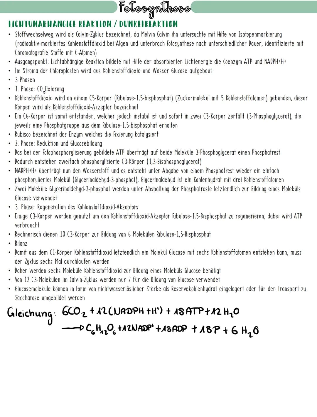 # Fotosynthese
## BEDEUTUNG DER FOTOSYNTHESE
* Chlorophyll als wichtigster Farbstoff der Fotosynthese, kann Licht absorbieren und damit