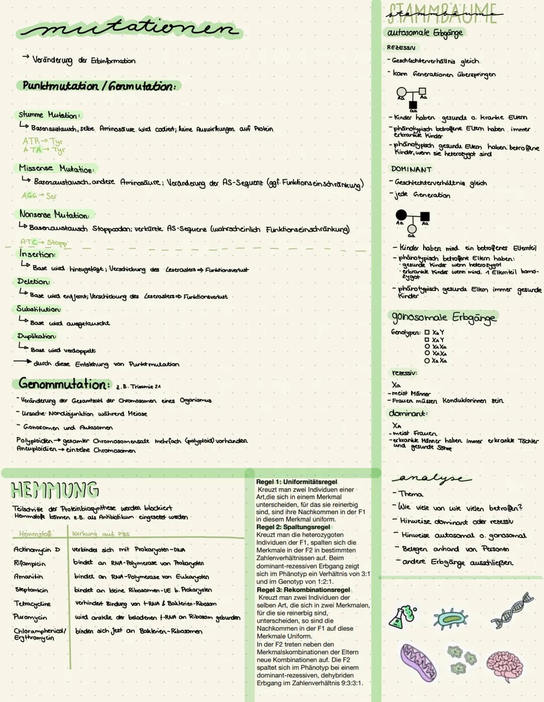 # mutationen
* Veränderung der Erbinformation
## Punktmutation/Genmutation:
### Stumme Mutation:
* → Basenaustausch, selbe Aminosäure wir