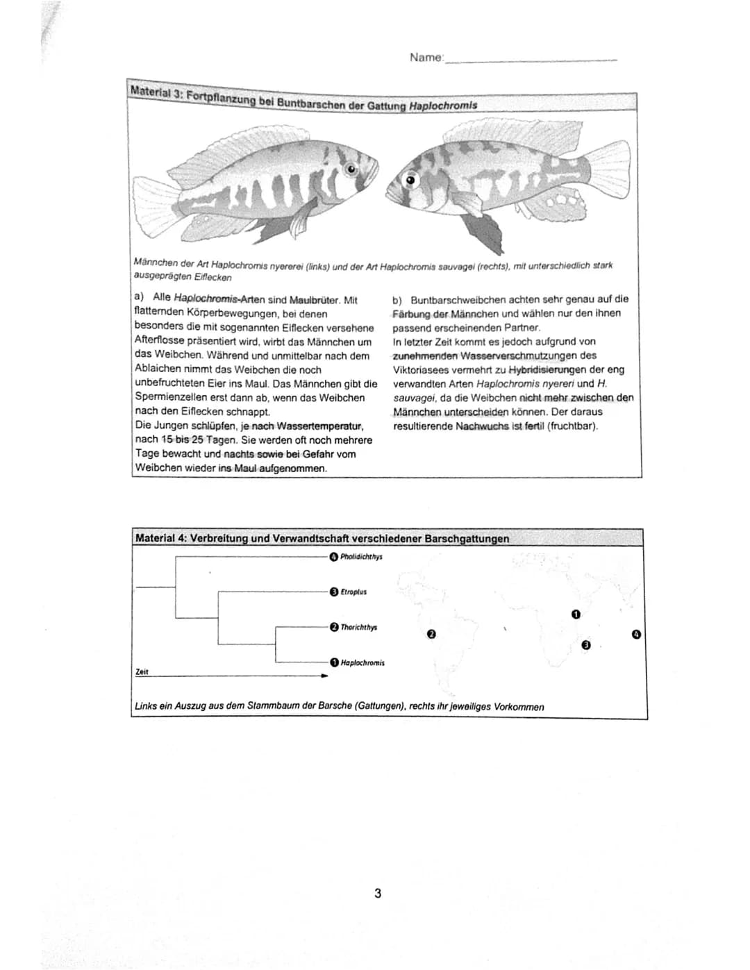 Name:
GK Q2.1 Biologie (HOR)
Klausur Nr. 1
28.10.2021
Aufgabe 1 - Die Evolution der Buntbarsche in Ostafrika
Die zu den Knochenfischen zähle