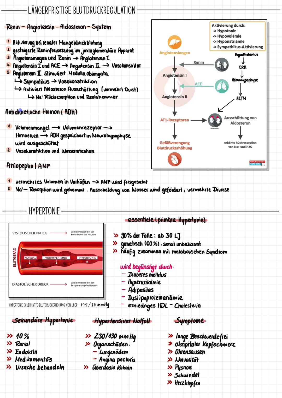 # Das Herz
## ALLGEMEINE FAKTEN
Truncus brachiocephalicus
Aorta
obere Hohlvene
(V. cava superior)
Lungenvene
(V. pulmonalis)
Foramen
ovale