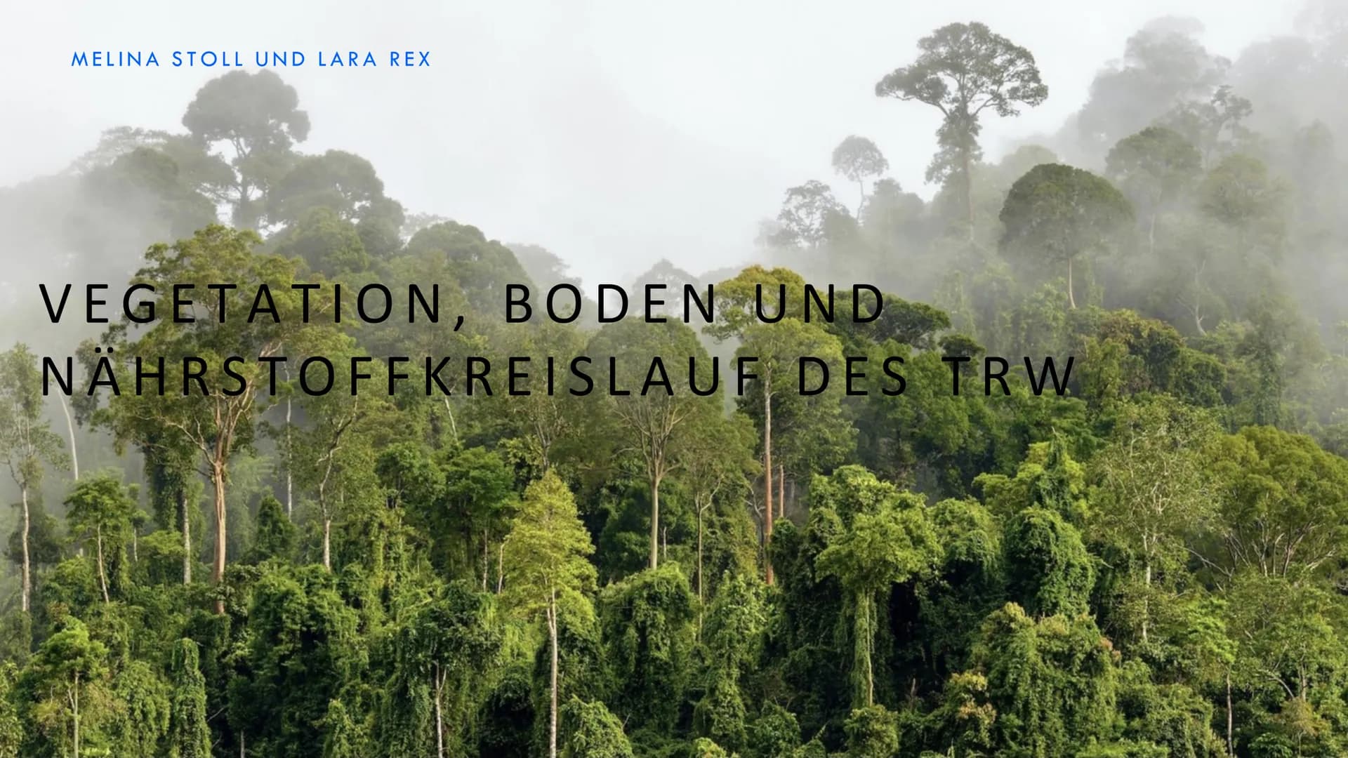 MELINA STOLL UND LARA REX
VEGETATION, BODEN UND
NÄHRSTOFFKREISLAUF DES TRW # GLIEDERUNG
* Vegetation
* Boden
* Nährstoffkreislauf
* Quellen