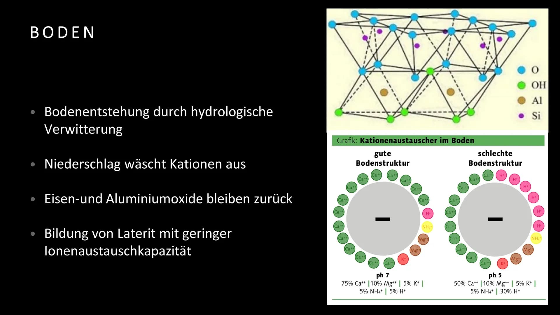MELINA STOLL UND LARA REX
VEGETATION, BODEN UND
NÄHRSTOFFKREISLAUF DES TRW # GLIEDERUNG
* Vegetation
* Boden
* Nährstoffkreislauf
* Quellen