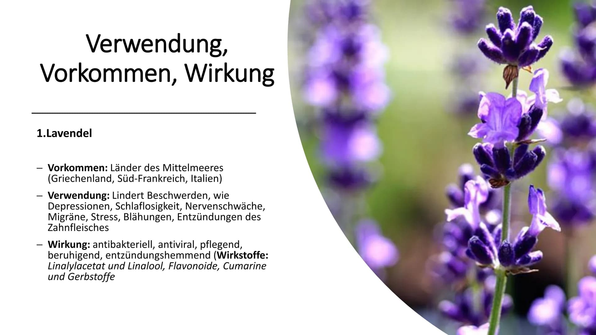 # Heilpflanzen
## Begriffserklärung/Deutung
„Heilpflanzen sind Pflanzen, welche wegen ihrem Gehalt an Wirkstoffen zu Heil-/
Linderungszwec