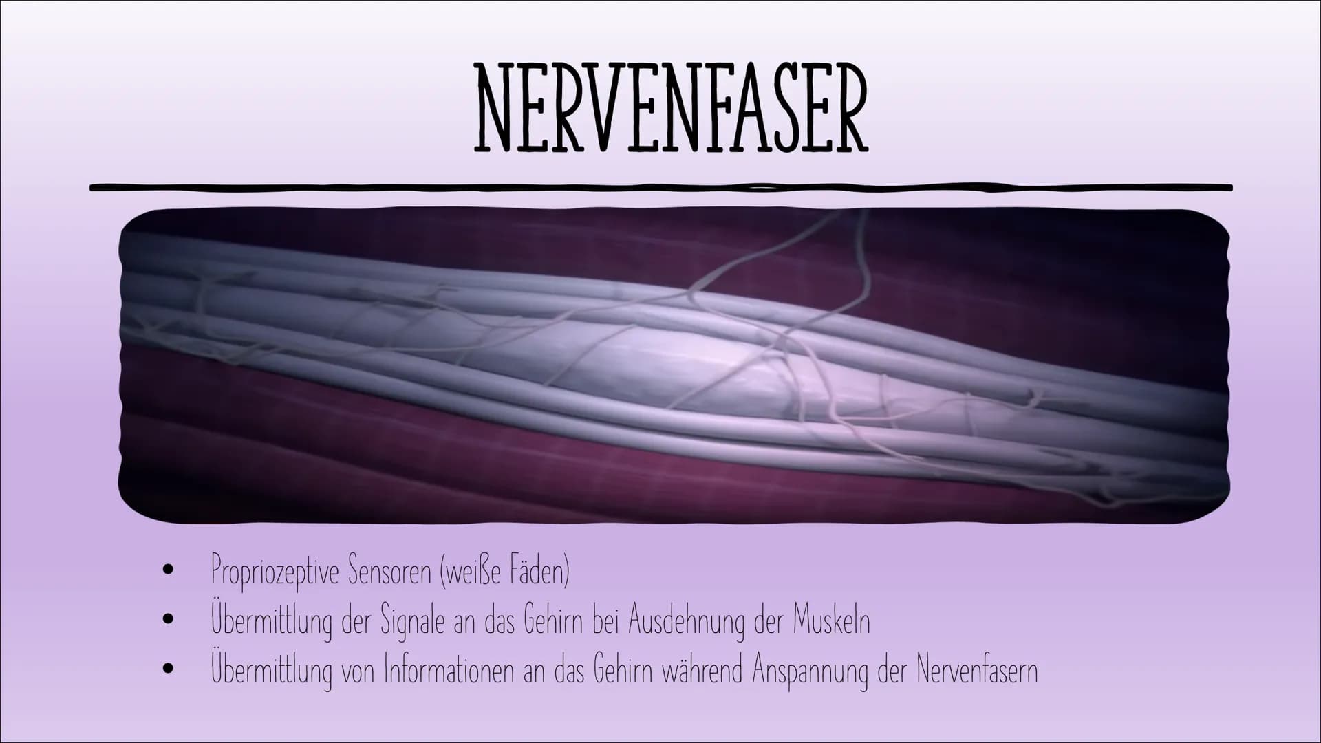# UNSER SECHSTE SINN --- DIE PROPRRIOZEPTION
Der Tastsinn, der Gehörsinn, der Geruchssinn, der Geschmackssinn, das Sehvermögen.
Wir nehmen u