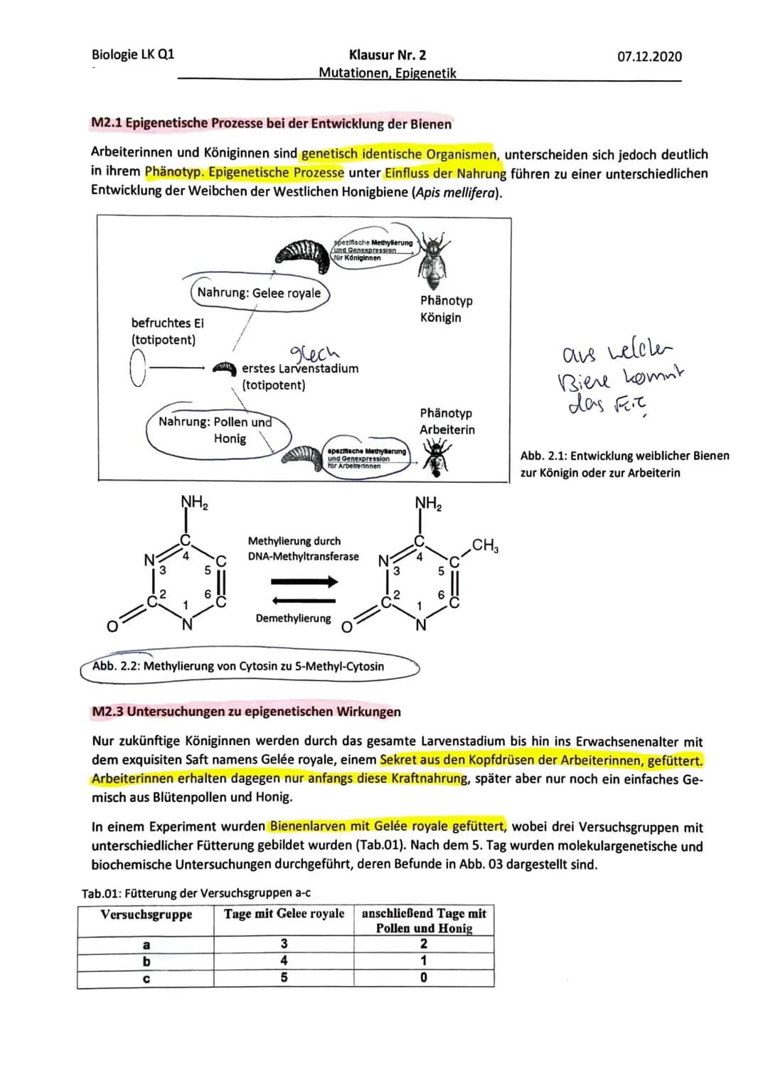 Klausur Nr. 2
Mutationen, Genetik
07.12.2020
Name:
Inhaltliche Leistung - Aufgabe 1: Achondroplasie
Name:
Anforderungen
Der Prüfling
Lösungs