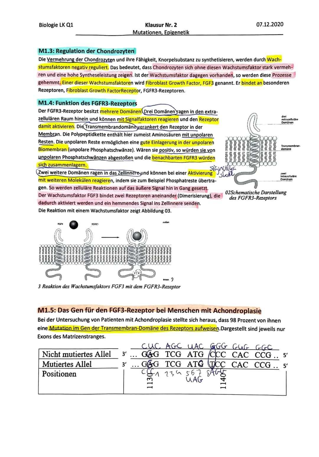 Klausur Nr. 2
Mutationen, Genetik
07.12.2020
Name:
Inhaltliche Leistung - Aufgabe 1: Achondroplasie
Name:
Anforderungen
Der Prüfling
Lösungs