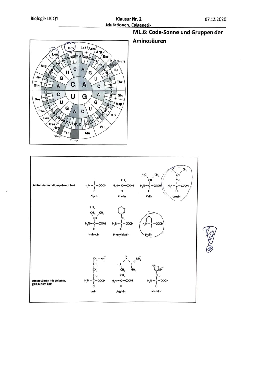 Klausur Nr. 2
Mutationen, Genetik
07.12.2020
Name:
Inhaltliche Leistung - Aufgabe 1: Achondroplasie
Name:
Anforderungen
Der Prüfling
Lösungs