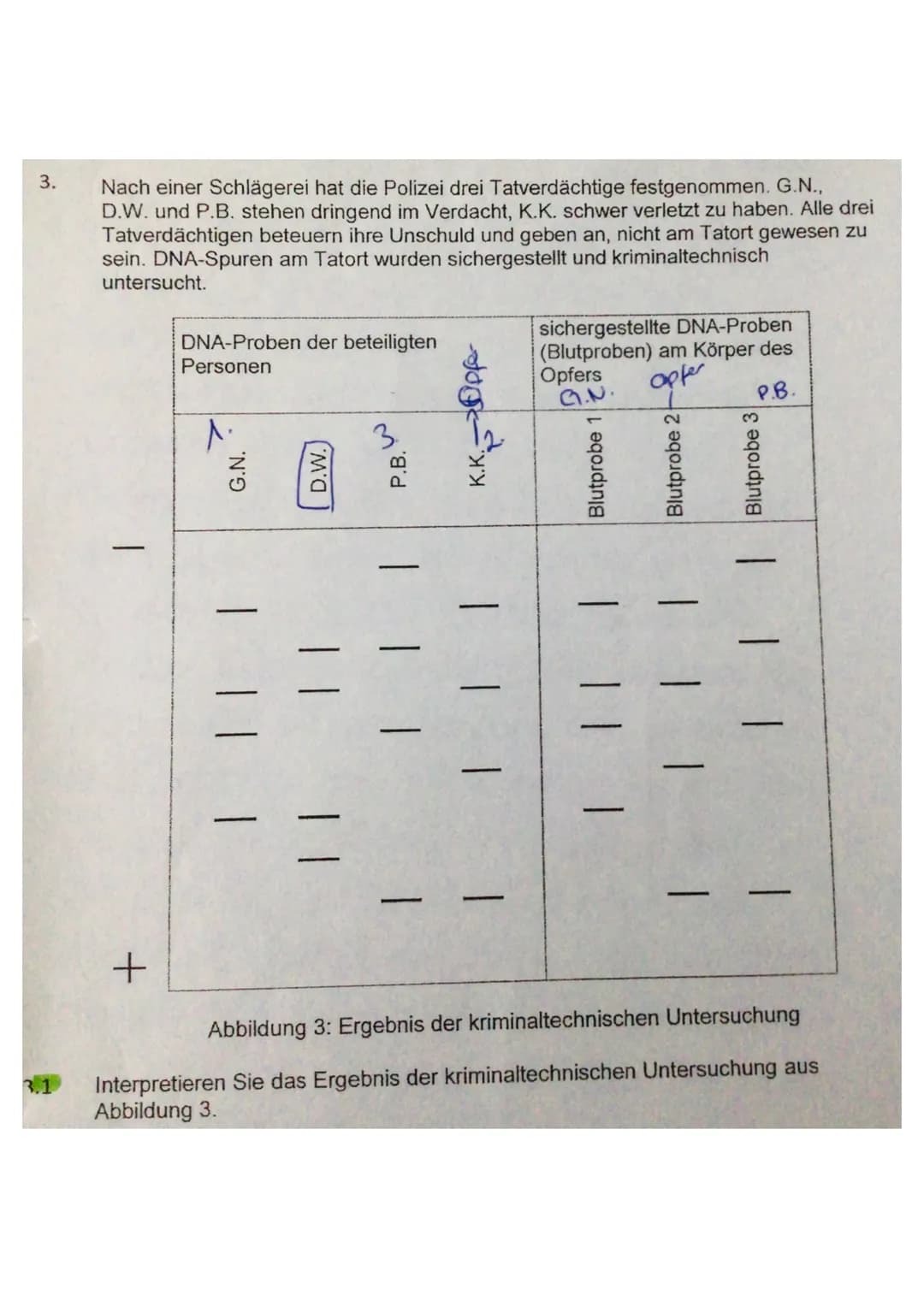 1.3 Der Verdacht auf eine Hereditäre Hämochromatose kann durch den C282Y-Mu-
tationsnachweis geklärt werden. Als erstes wird eine PCR der DN