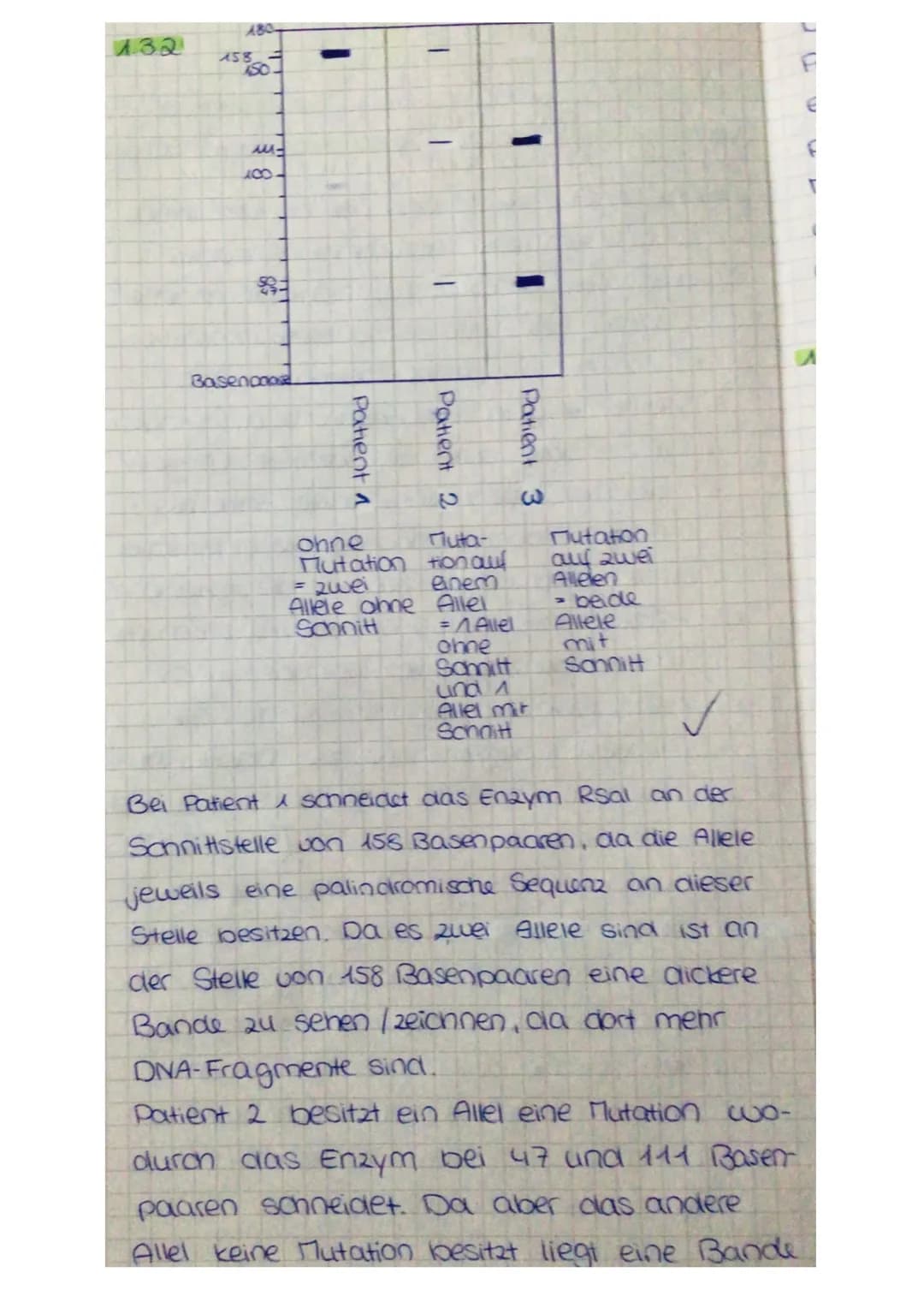 1.3 Der Verdacht auf eine Hereditäre Hämochromatose kann durch den C282Y-Mu-
tationsnachweis geklärt werden. Als erstes wird eine PCR der DN