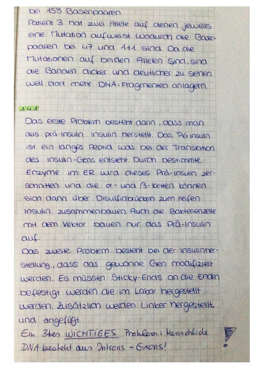 1.3 Der Verdacht auf eine Hereditäre Hämochromatose kann durch den C282Y-Mu-
tationsnachweis geklärt werden. Als erstes wird eine PCR der DN