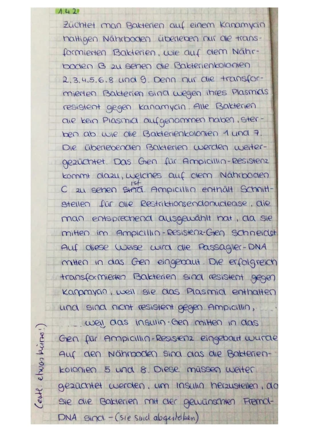 1.3 Der Verdacht auf eine Hereditäre Hämochromatose kann durch den C282Y-Mu-
tationsnachweis geklärt werden. Als erstes wird eine PCR der DN