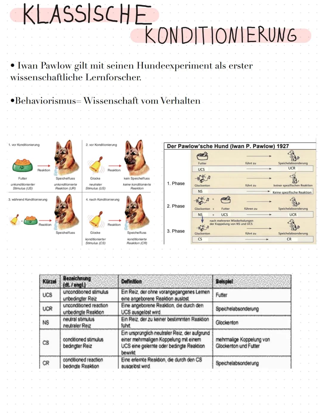 # KLASSISCHE KONDITIONIERUNG
* Iwan Pawlow gilt mit seinen Hundeexperiment als erster wissenschaftliche Lernforscher.
* Behaviorismus =