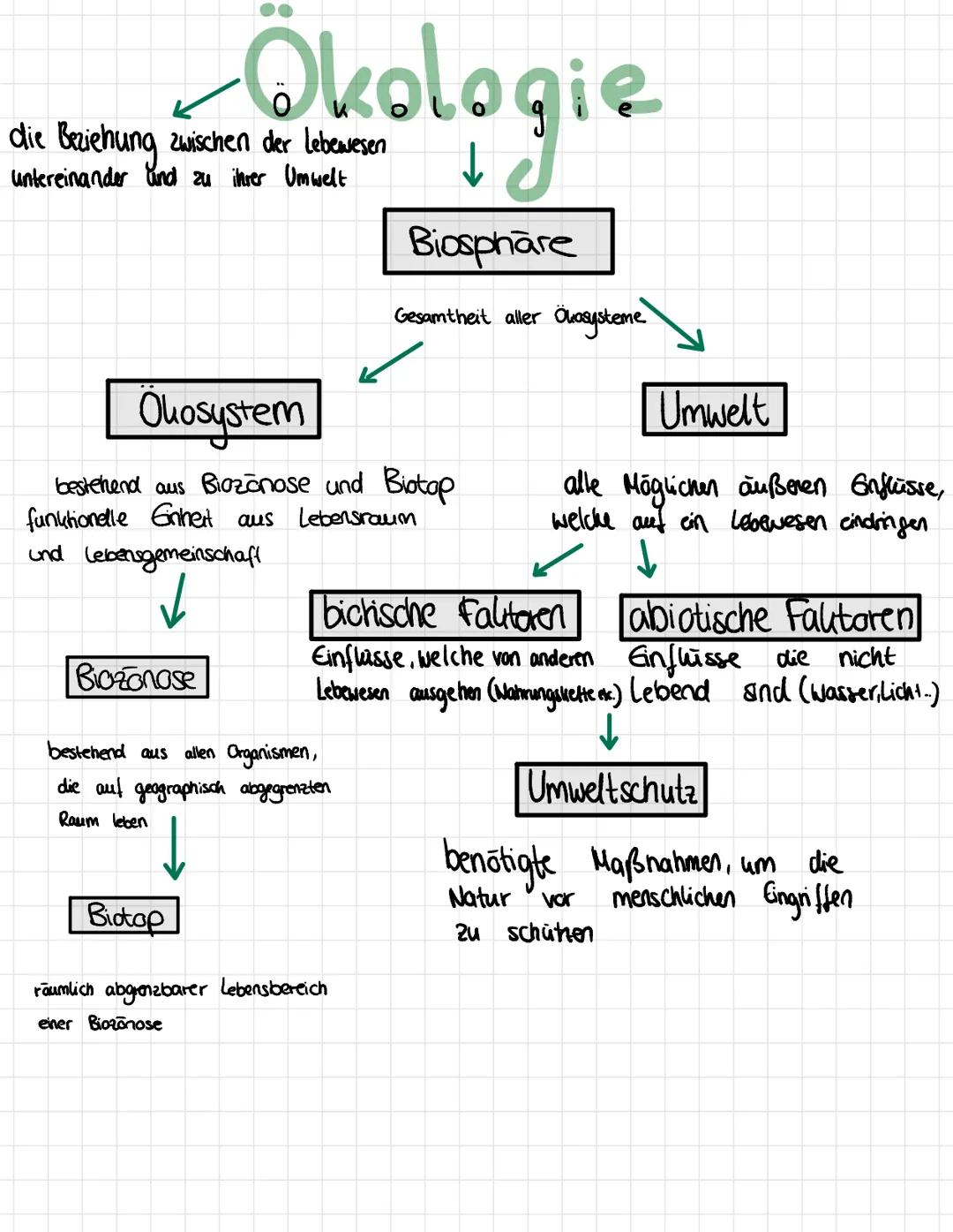 # Okologie
die Beziehung zwischen der Lebewesen
untereinander und zu ihrer Umwelt
Biosphäre
Gesamtheit aller Ökosysteme
Okosystem
bestehen